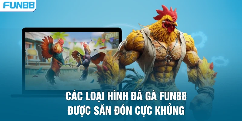 Các loại hình đá gà FUN88 được săn đón cực khủng