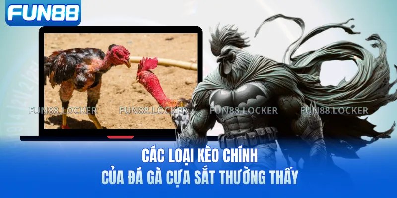 Các loại kèo chính của đá gà cựa sắt thường thấy