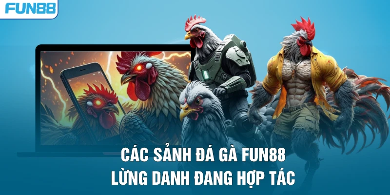 Các sảnh đá gà FUN88 lừng danh đang hợp tác