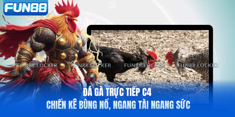 Đá Gà Trực Tiếp C4 - Chiến Kê Bùng Nổ, Ngang Tài Ngang Sức