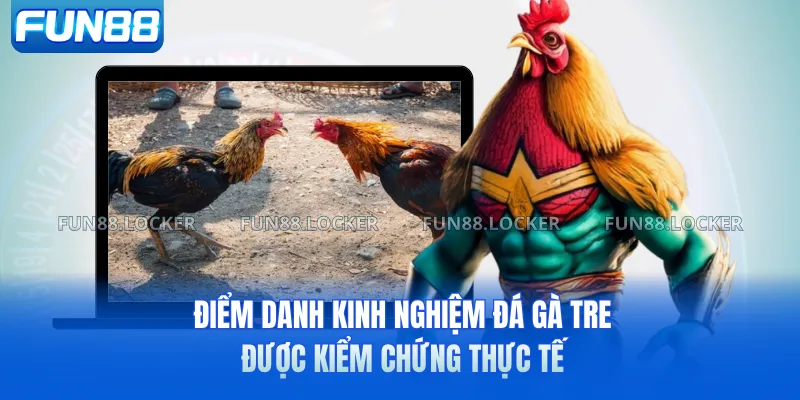 Điểm danh kinh nghiệm đá gà tre được kiểm chứng thực tế