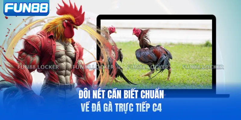 Đôi nét cần biết chuẩn về đá gà trực tiếp C4