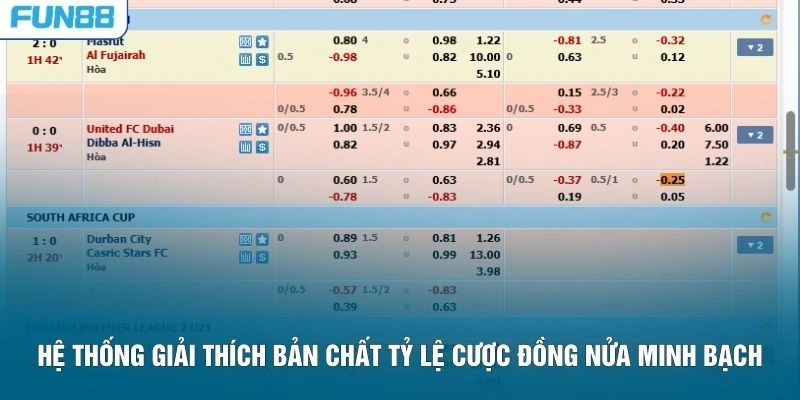 Hệ thống giải thích bản chất tỷ lệ cược đồng nửa minh bạch