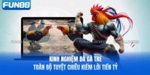 Kinh Nghiệm Đá Gà Tre -Toàn Bộ Tuyệt Chiêu Kiếm Lời Tiền Tỷ