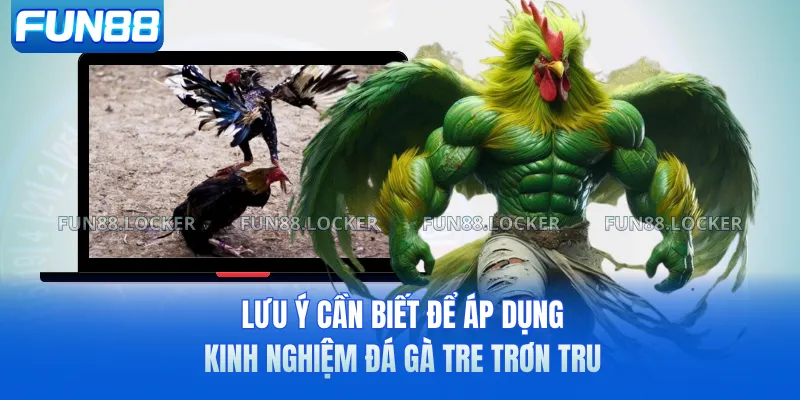 Lưu ý cần biết để áp dụng kinh nghiệm đá gà tre trơn tru
