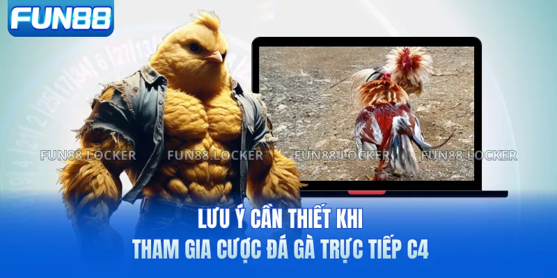 Lưu ý cần thiết khi tham gia cược đá gà trực tiếp C4
