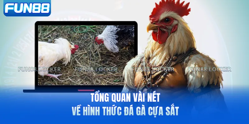 Tổng quan vài nét về hình thức đá gà cựa sắt