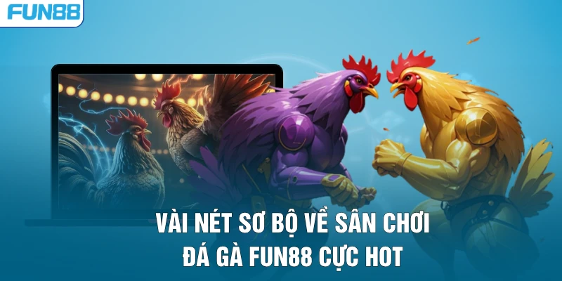 Vài nét sơ bộ về sân chơi đá gà FUN88 cực hot